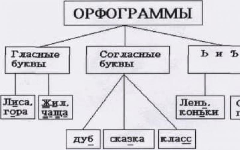 Ли орфограмма. Что такое орфограмма? Пример диктанта с разбором и подчеркиванием орфограмм